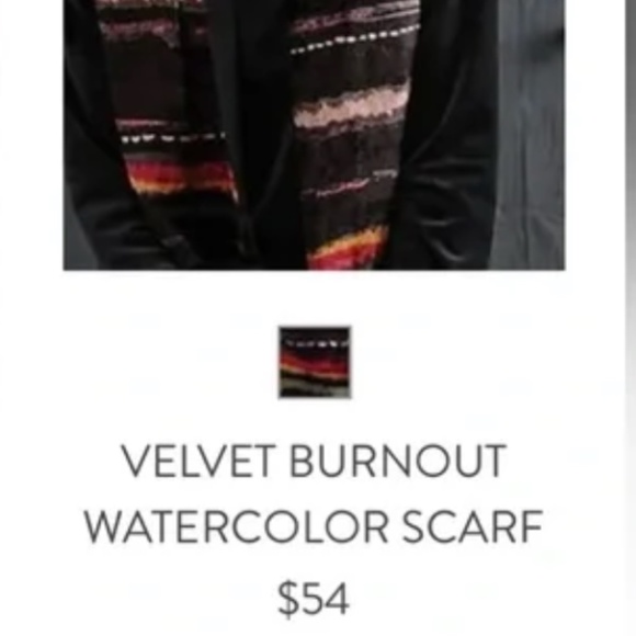 J.Jill NEW Velvet Burnout Watercolor Scarf NWT - Picture 7 of 9